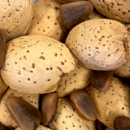 Almonds and Pine Nuts-Mixes 1 lb.